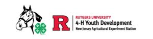 4-H Youth Development Logo