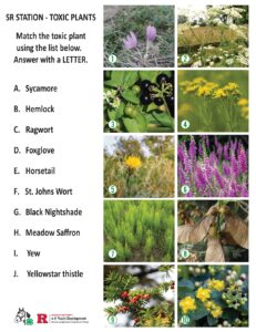 SR Station - Toxic Plants matching activity with ten numbered photos of different plants and a list of plant names to match.