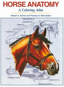 Cover Page of The Coloring Atlas of Horse Anatomy