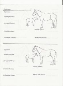 Sample Note Sheet #3