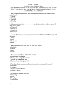 Preview of Sample Junior Exam